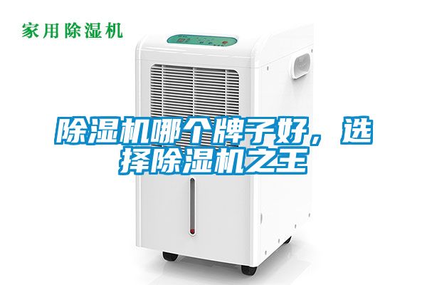 除濕機(jī)哪個(gè)牌子好，選擇除濕機(jī)之王