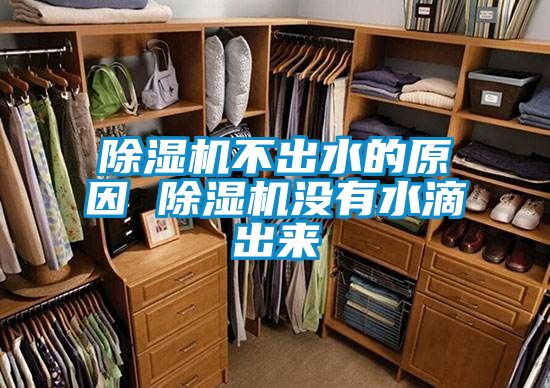 除濕機(jī)不出水的原因 除濕機(jī)沒有水滴出來(lái)