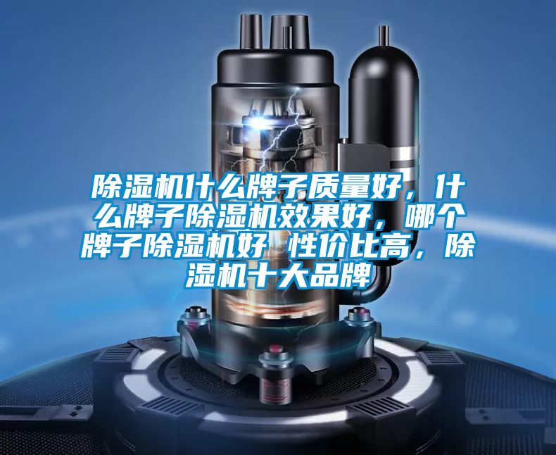 除濕機(jī)什么牌子質(zhì)量好，什么牌子除濕機(jī)效果好，哪個牌子除濕機(jī)好 性價比高，除濕機(jī)十大品牌