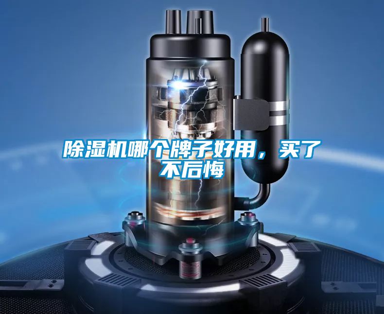除濕機哪個牌子好用，買了不后悔