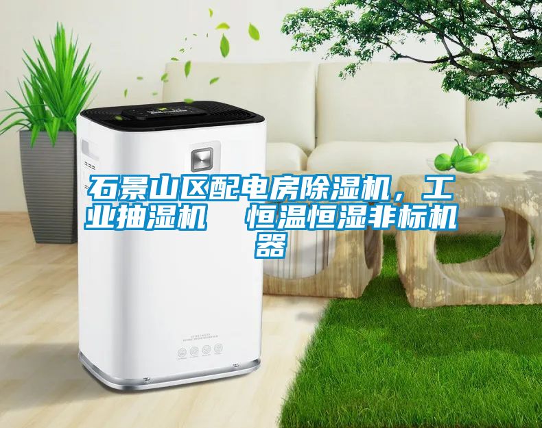 石景山區(qū)配電房除濕機(jī)，工業(yè)抽濕機(jī)  恒溫恒濕非標(biāo)機(jī)器