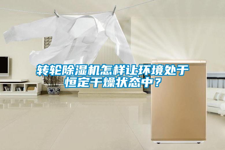 轉(zhuǎn)輪除濕機(jī)怎樣讓環(huán)境處于恒定干燥狀態(tài)中？