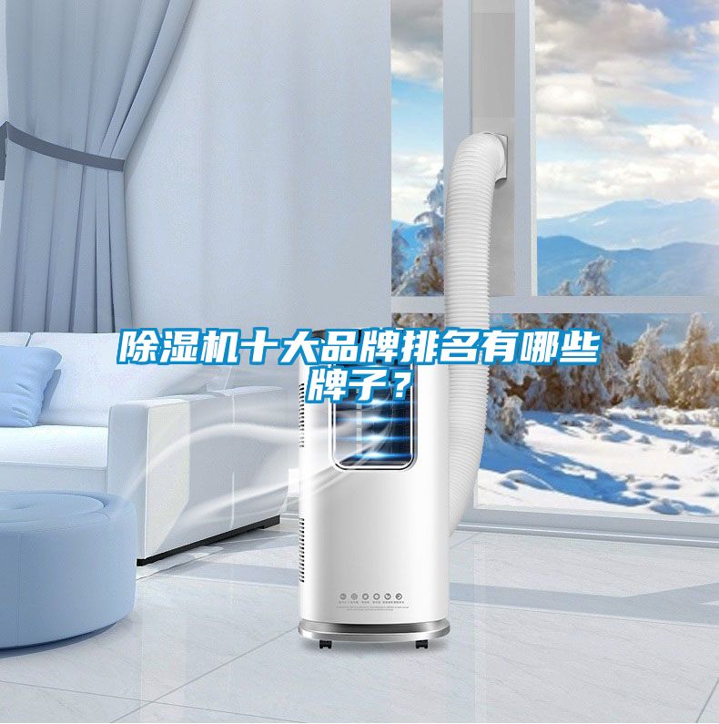 除濕機(jī)十大品牌排名有哪些牌子？