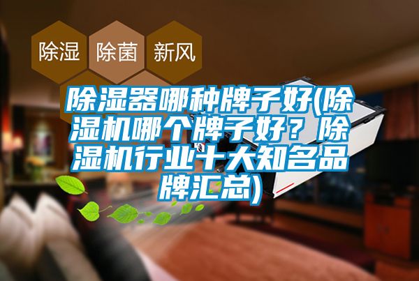 除濕器哪種牌子好(除濕機(jī)哪個(gè)牌子好？除濕機(jī)行業(yè)十大知名品牌匯總)