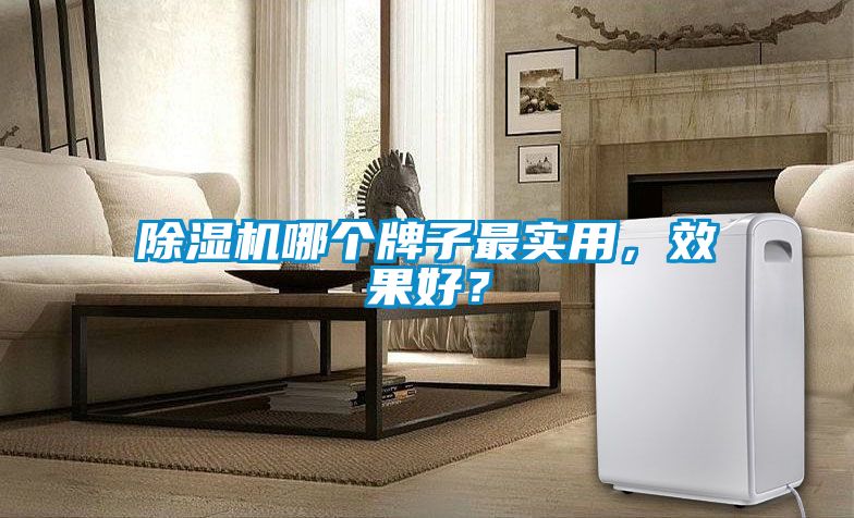 除濕機(jī)哪個(gè)牌子最實(shí)用，效果好？