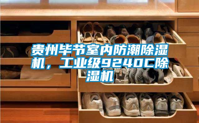 貴州畢節(jié)室內(nèi)防潮除濕機(jī)，工業(yè)級9240C除濕機(jī)