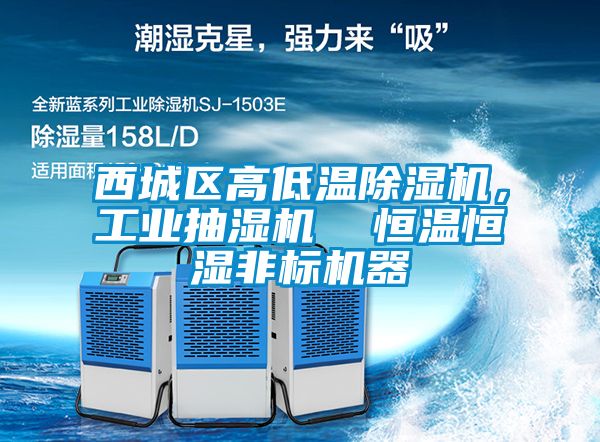 西城區(qū)高低溫除濕機(jī)，工業(yè)抽濕機(jī)  恒溫恒濕非標(biāo)機(jī)器
