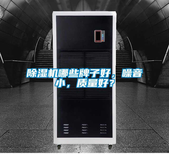 除濕機(jī)哪些牌子好，噪音小，質(zhì)量好？