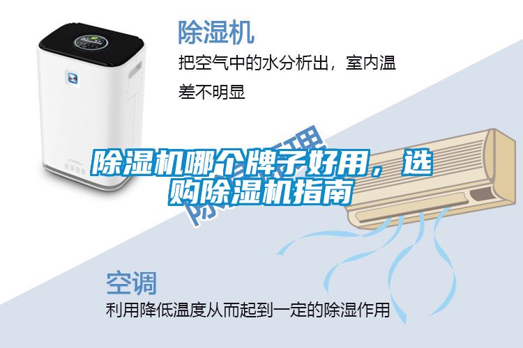 除濕機哪個牌子好用，選購除濕機指南