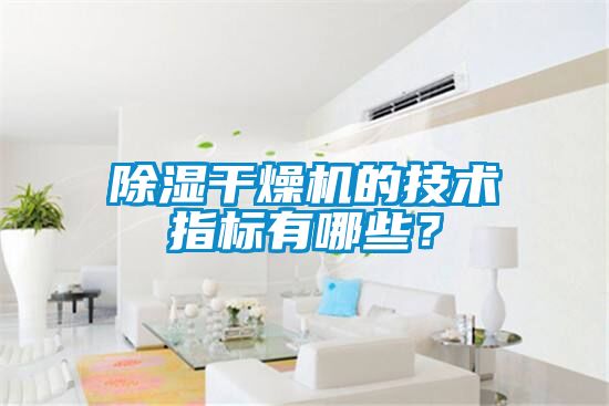 除濕干燥機(jī)的技術(shù)指標(biāo)有哪些？
