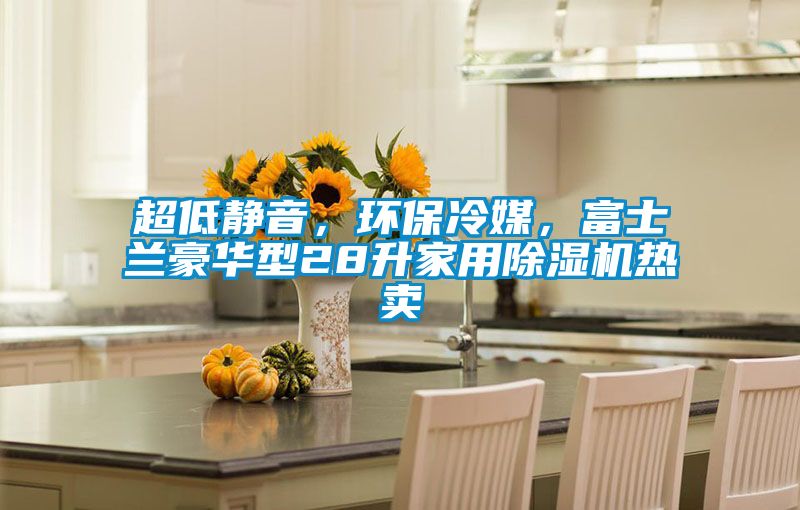 超低靜音，環(huán)保冷媒，富士蘭豪華型28升家用除濕機(jī)熱賣