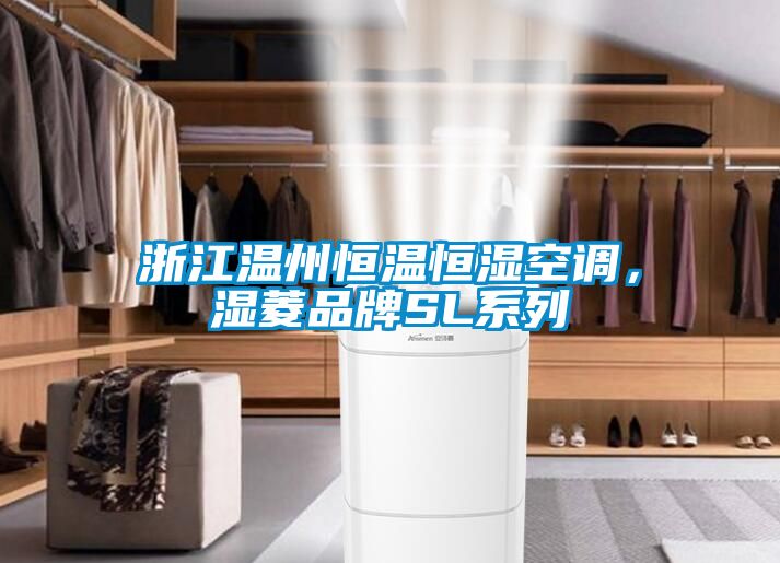 浙江溫州恒溫恒濕空調，濕菱品牌SL系列