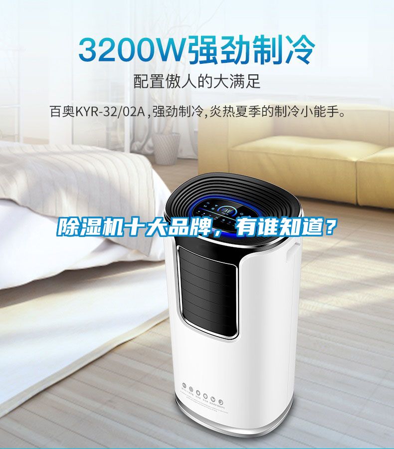 除濕機十大品牌，有誰知道？