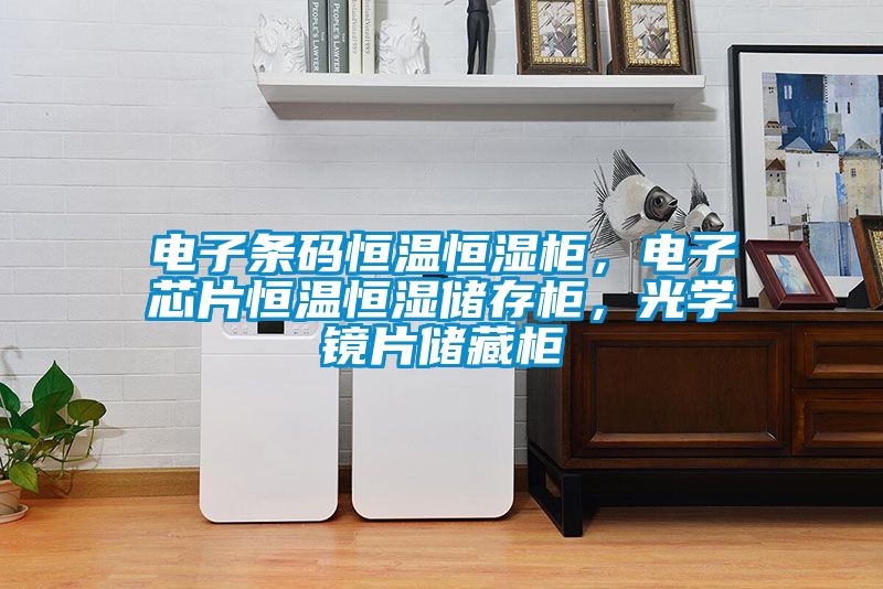電子條碼恒溫恒濕柜，電子芯片恒溫恒濕儲(chǔ)存柜，光學(xué)鏡片儲(chǔ)藏柜
