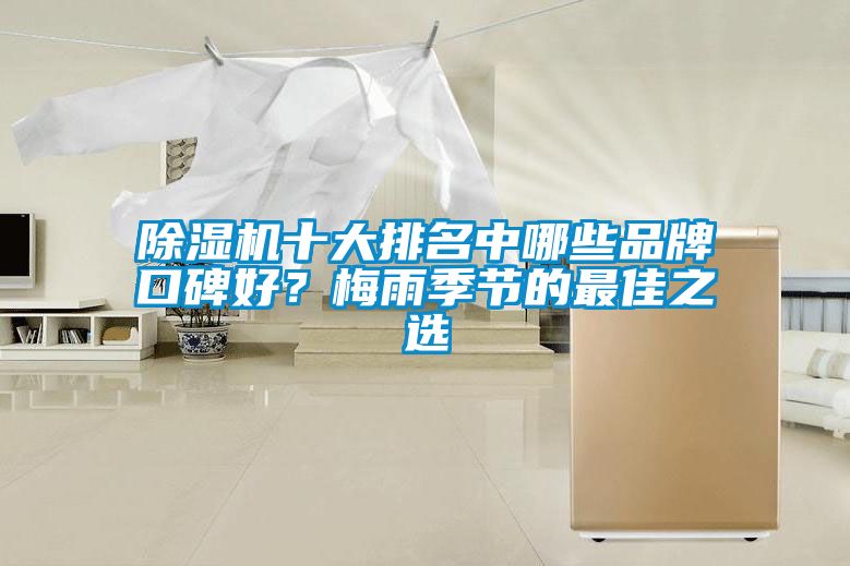 除濕機十大排名中哪些品牌口碑好？梅雨季節(jié)的最佳之選