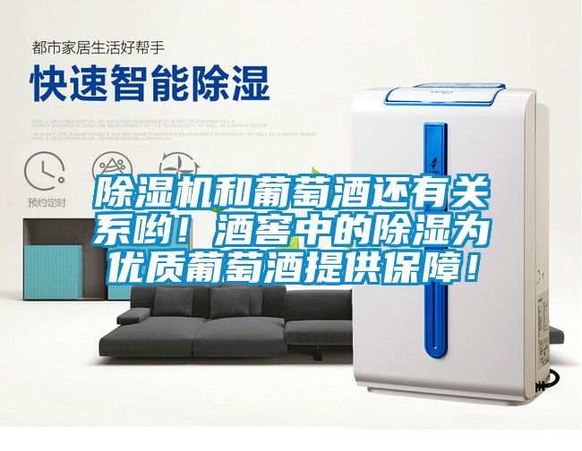 除濕機和葡萄酒還有關(guān)系喲！酒窖中的除濕為優(yōu)質(zhì)葡萄酒提供保障！