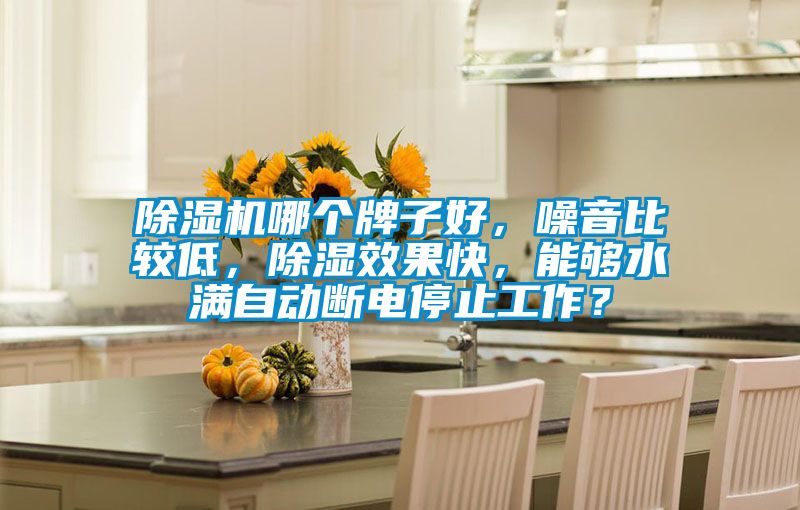 除濕機(jī)哪個(gè)牌子好，噪音比較低，除濕效果快，能夠水滿自動斷電停止工作？