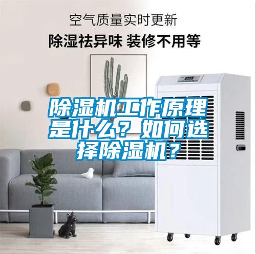除濕機工作原理是什么？如何選擇除濕機？