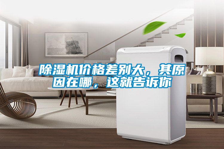 除濕機價格差別大，其原因在哪，這就告訴你