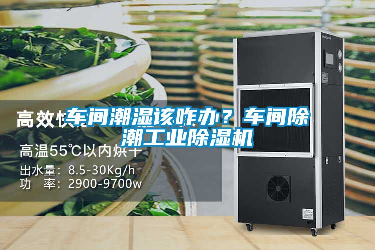 車間潮濕該咋辦？車間除潮工業(yè)除濕機(jī)