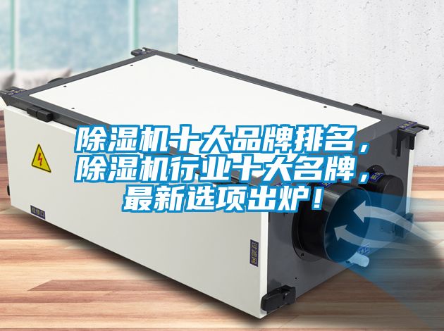 除濕機(jī)十大品牌排名，除濕機(jī)行業(yè)十大名牌，最新選項(xiàng)出爐！