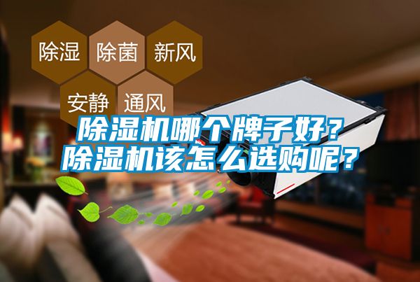 除濕機(jī)哪個(gè)牌子好？除濕機(jī)該怎么選購(gòu)呢？