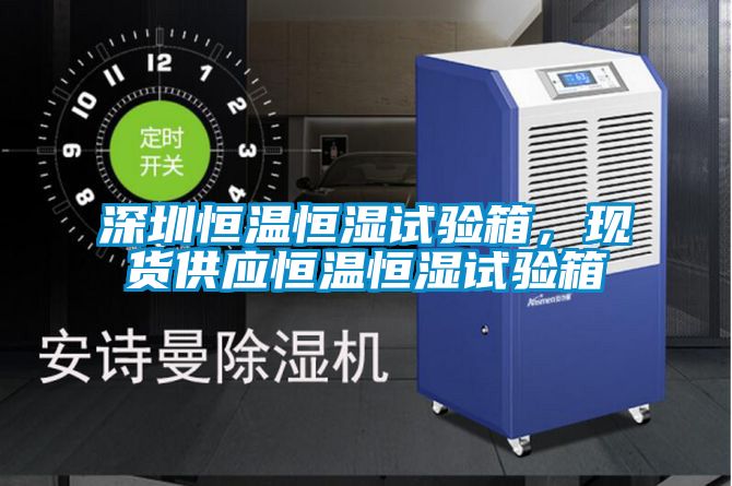深圳恒溫恒濕試驗箱，現(xiàn)貨供應恒溫恒濕試驗箱