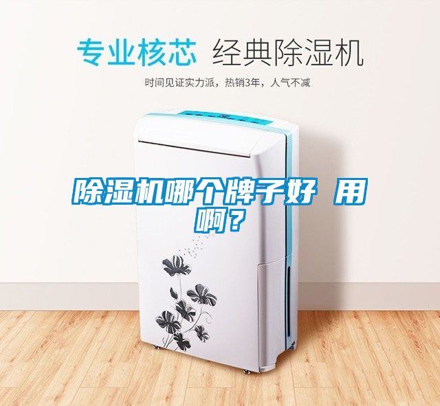 除濕機(jī)哪個(gè)牌子好 用??？