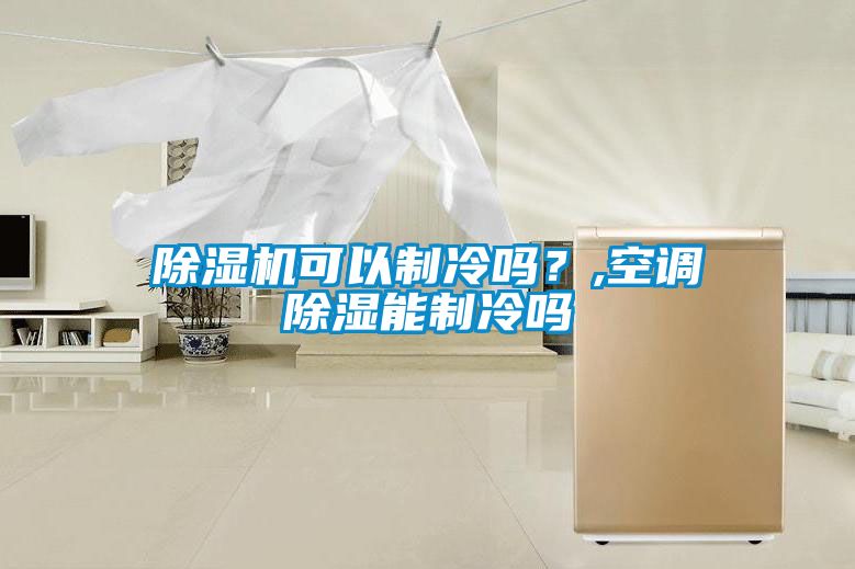 除濕機(jī)可以制冷嗎？,空調(diào)除濕能制冷嗎