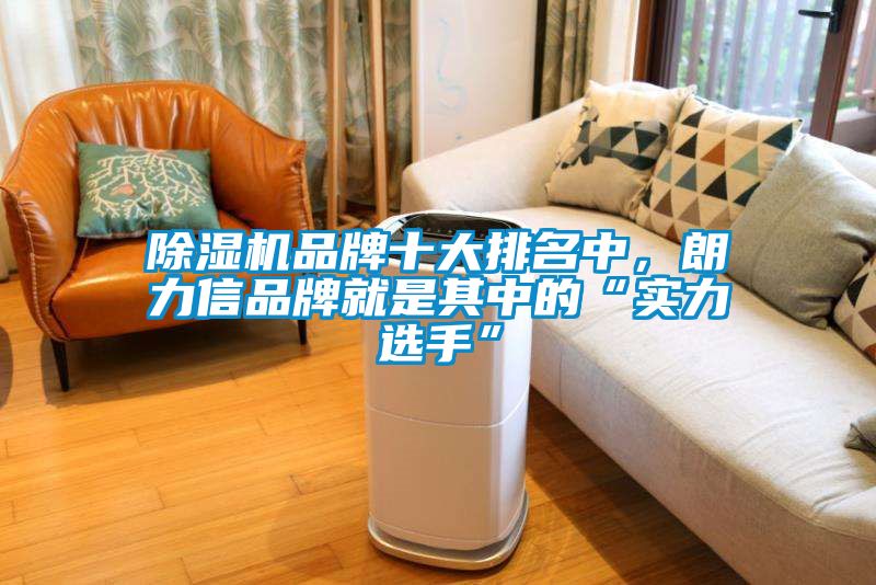 除濕機(jī)品牌十大排名中，朗力信品牌就是其中的“實(shí)力選手”