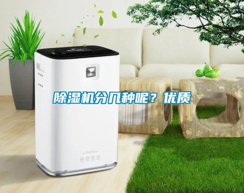 除濕機(jī)分幾種呢？優(yōu)質(zhì)