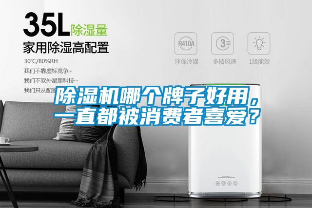 除濕機哪個牌子好用，一直都被消費者喜愛？