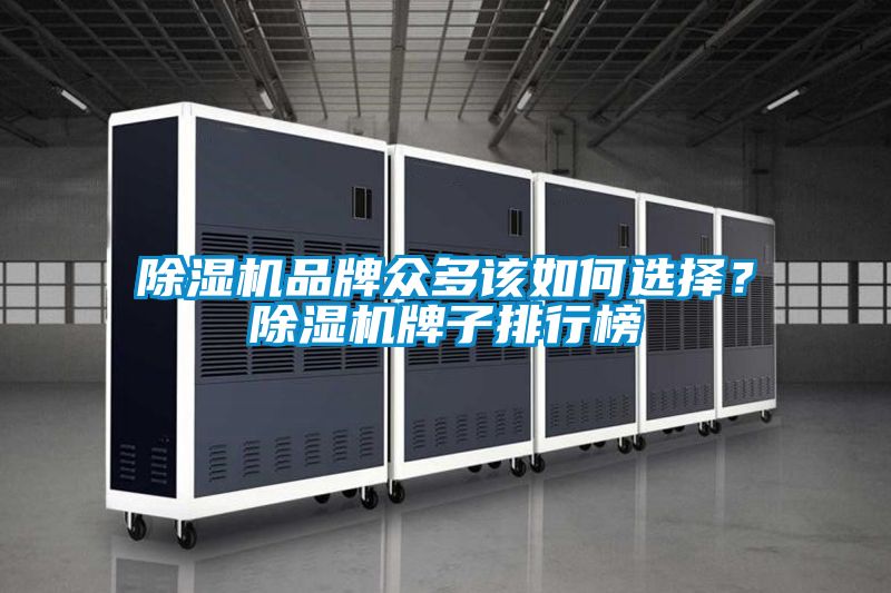 除濕機(jī)品牌眾多該如何選擇？除濕機(jī)牌子排行榜