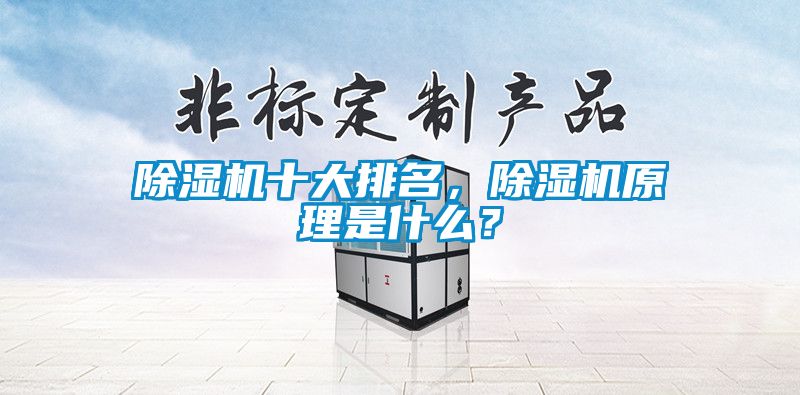 除濕機(jī)十大排名，除濕機(jī)原理是什么？