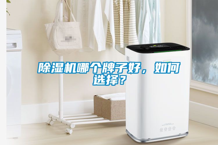 除濕機(jī)哪個(gè)牌子好，如何選擇？