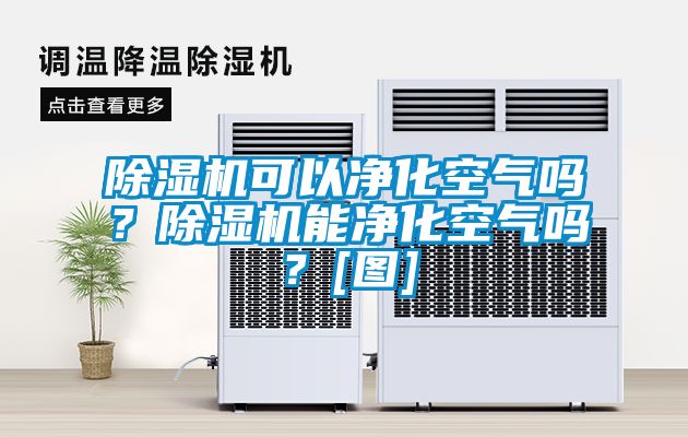 除濕機(jī)可以凈化空氣嗎？除濕機(jī)能凈化空氣嗎？[圖]