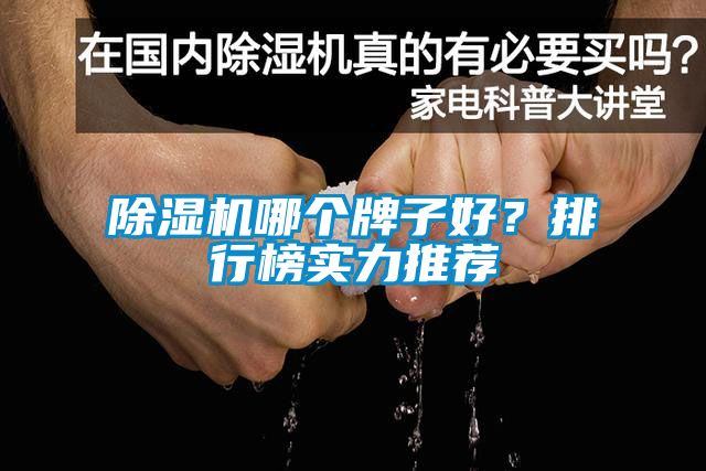除濕機(jī)哪個(gè)牌子好？排行榜實(shí)力推薦
