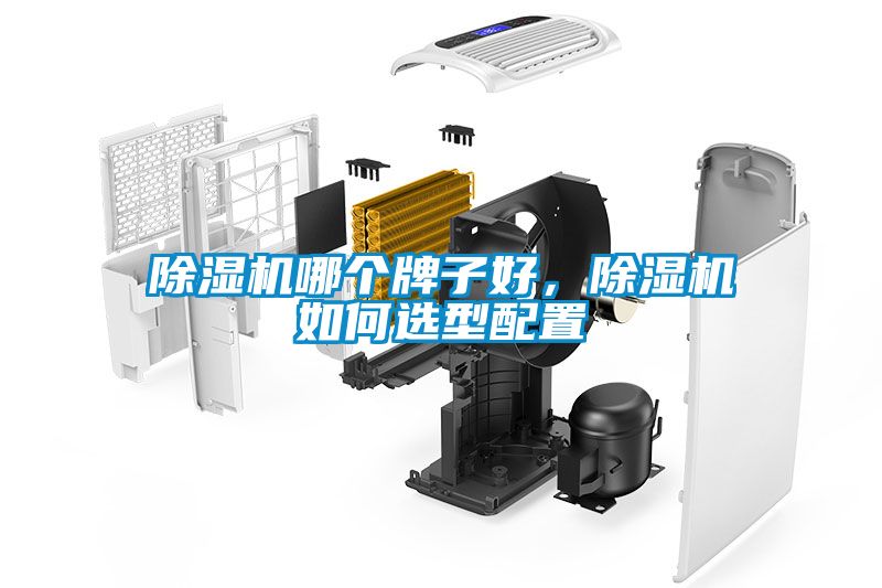 除濕機(jī)哪個(gè)牌子好，除濕機(jī)如何選型配置