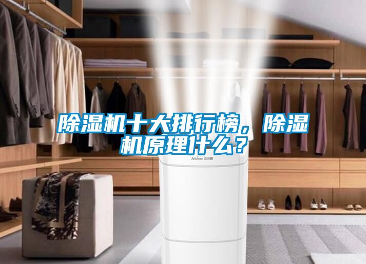 除濕機十大排行榜，除濕機原理什么？