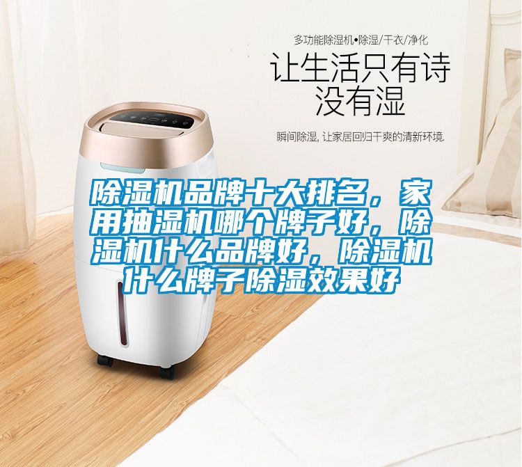 除濕機(jī)品牌十大排名，家用抽濕機(jī)哪個(gè)牌子好，除濕機(jī)什么品牌好，除濕機(jī)什么牌子除濕效果好