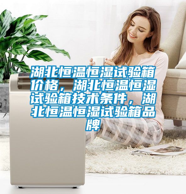 湖北恒溫恒濕試驗(yàn)箱價(jià)格，湖北恒溫恒濕試驗(yàn)箱技術(shù)條件，湖北恒溫恒濕試驗(yàn)箱品牌