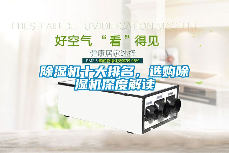 除濕機(jī)十大排名，選購除濕機(jī)深度解讀