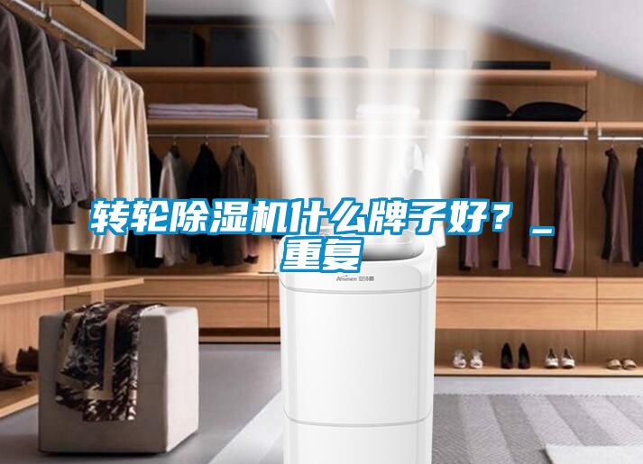 轉(zhuǎn)輪除濕機(jī)什么牌子好？_重復(fù)