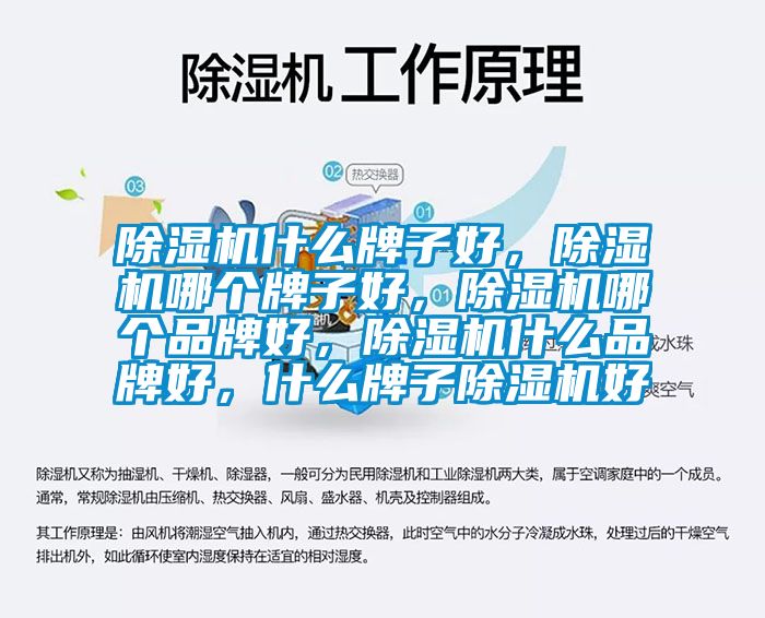 除濕機什么牌子好，除濕機哪個牌子好，除濕機哪個品牌好，除濕機什么品牌好，什么牌子除濕機好
