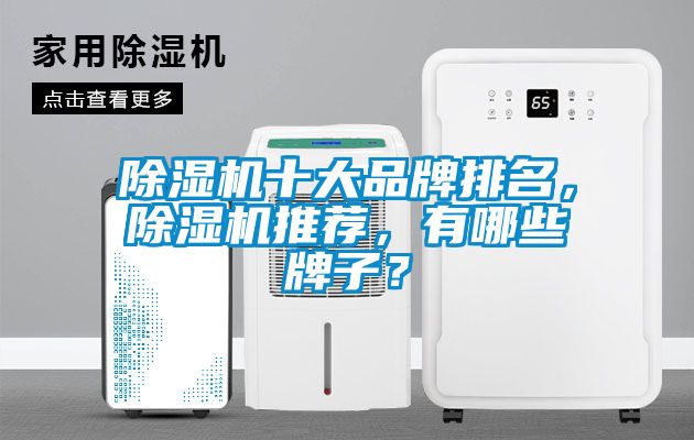 除濕機(jī)十大品牌排名，除濕機(jī)推薦，有哪些牌子？