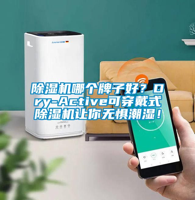 除濕機哪個牌子好？Dry-Active可穿戴式除濕機讓你無懼潮濕！