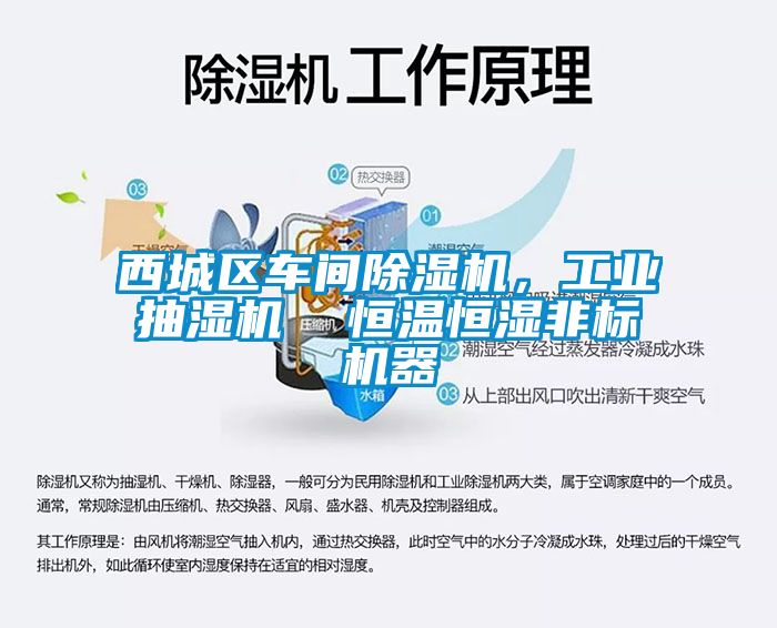 西城區(qū)車間除濕機(jī)，工業(yè)抽濕機(jī)  恒溫恒濕非標(biāo)機(jī)器