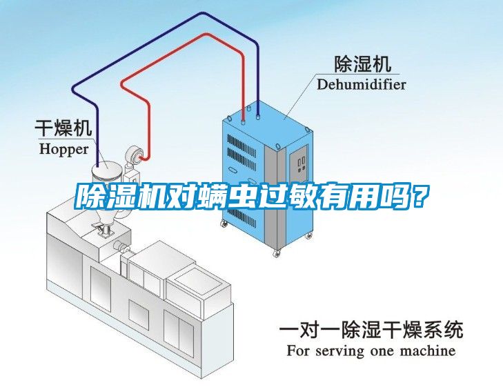除濕機對螨蟲過敏有用嗎？
