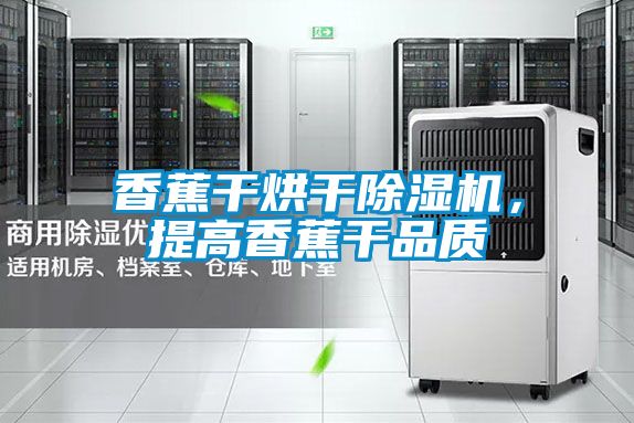 香蕉干烘干除濕機，提高香蕉干品質(zhì)