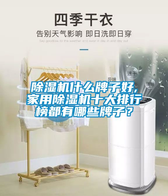 除濕機(jī)什么牌子好,家用除濕機(jī)十大排行榜都有哪些牌子？